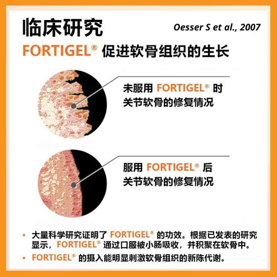 拥有16年德国临床实验 | Rejoint