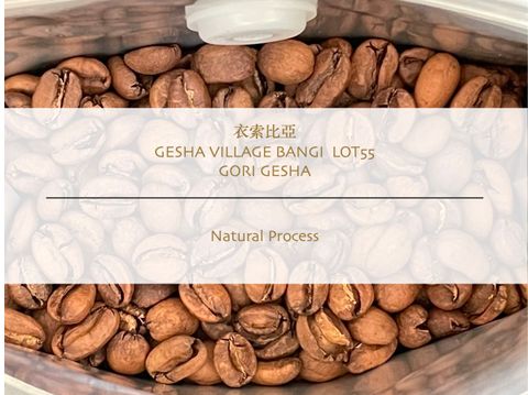 Gesha Village Bangi Gori N.改