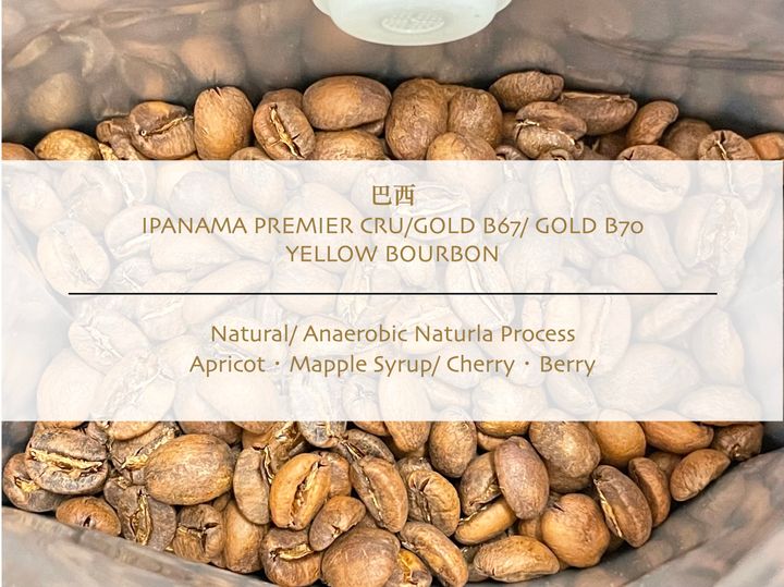 巴西Ipanema Premier Cru Gold B67 B70