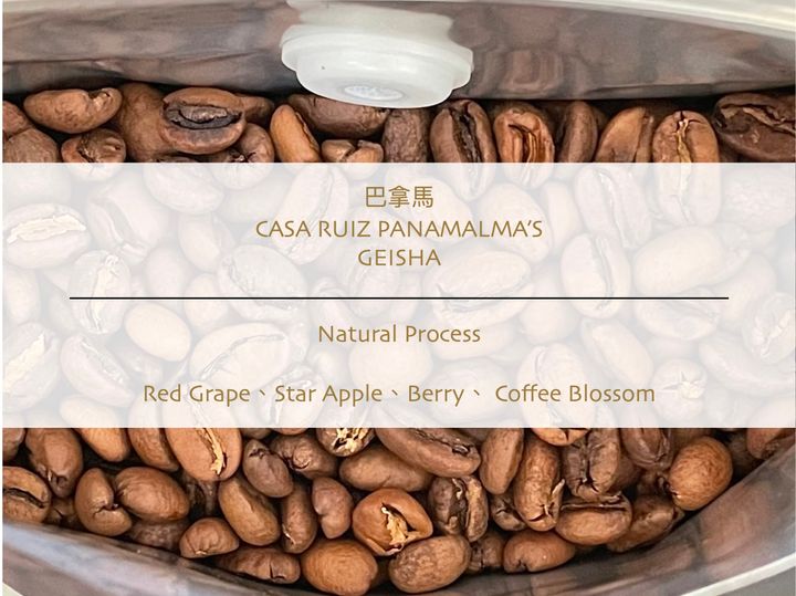 巴拿馬 Casa Ruiz Volcan Geisha  N 2025