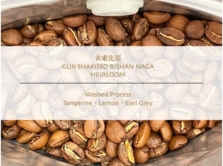 衣索Guji shakisso BISHA W