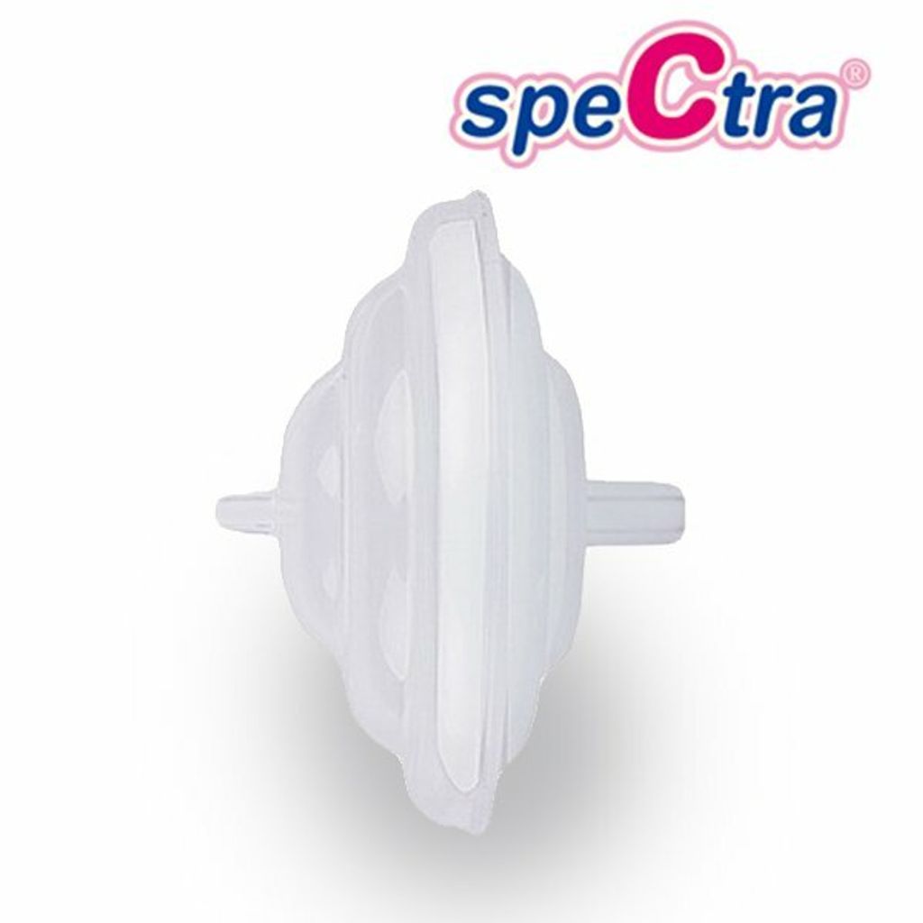 spectra-backflow-protector.jpg