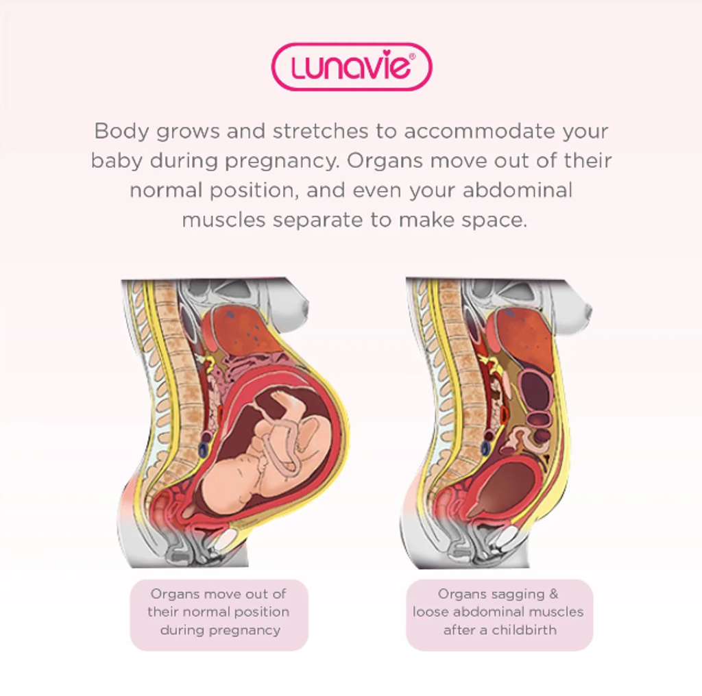 Lunavie Binder 3