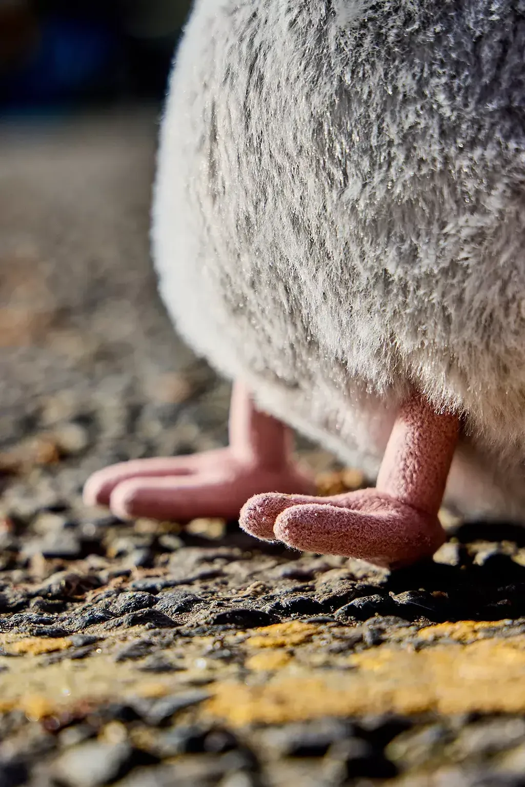 image_AFEDD06E-DBC2-4F91-A336-1A5036E54220_1774514406