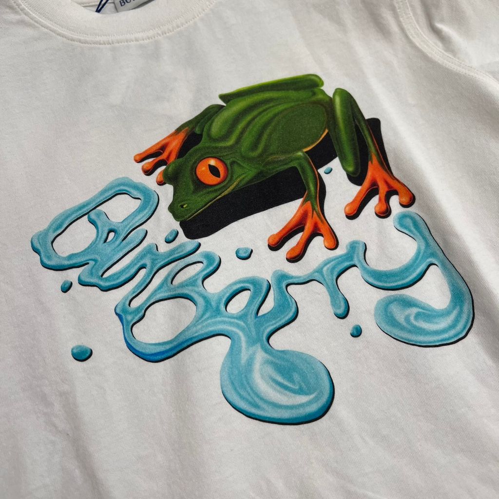 bbrfrog-2