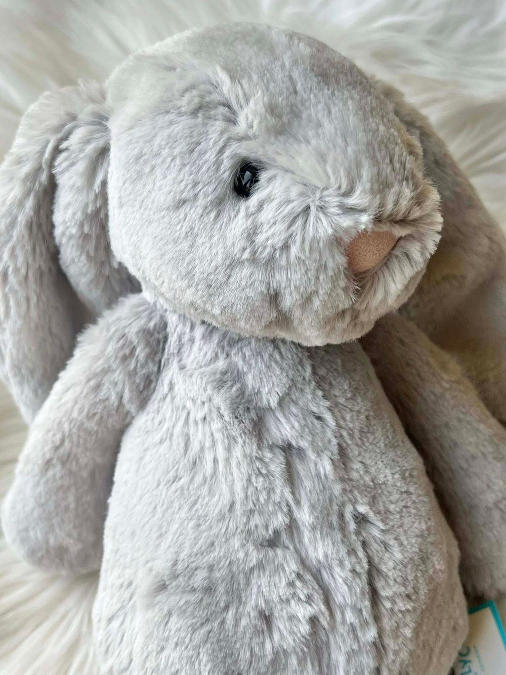 506067030_1068743982061794_8630716143982588041_n-2