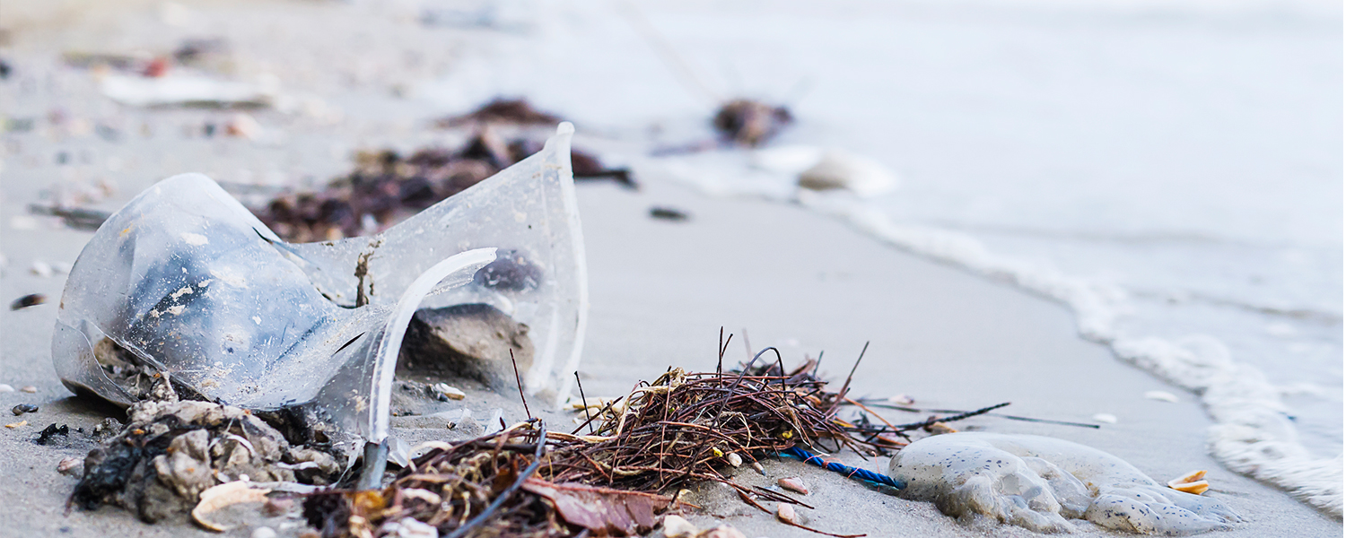 Simply Write: Why Use Plastic Straw When You Can Say “No!”