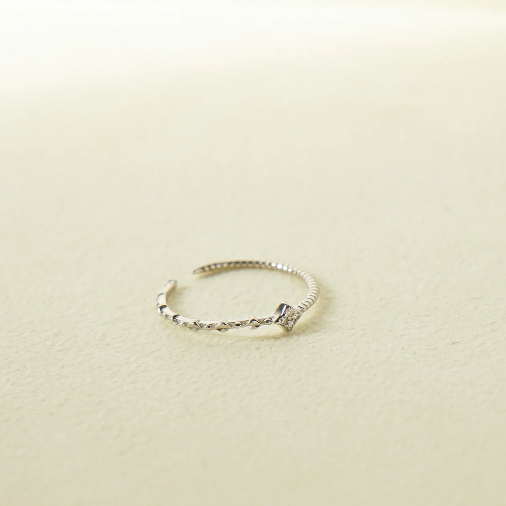 C197DB69-9A2D-41C8-9D4E-4E49936A5533