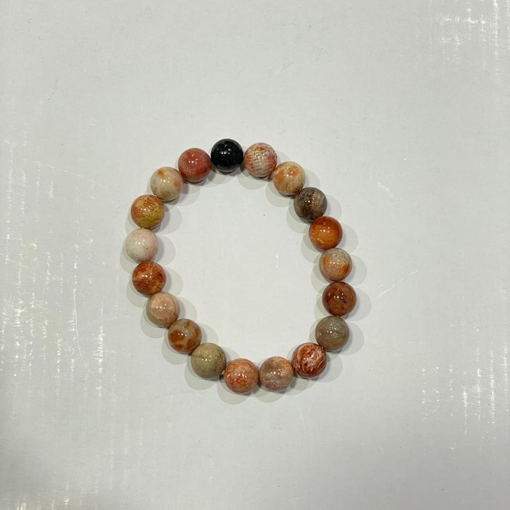 WhatsApp Image 2025-09-30 at 12.33.45 PM