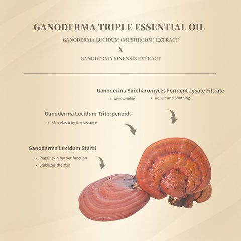 my-11134207-7ras8-m87dk0ucbl3i72