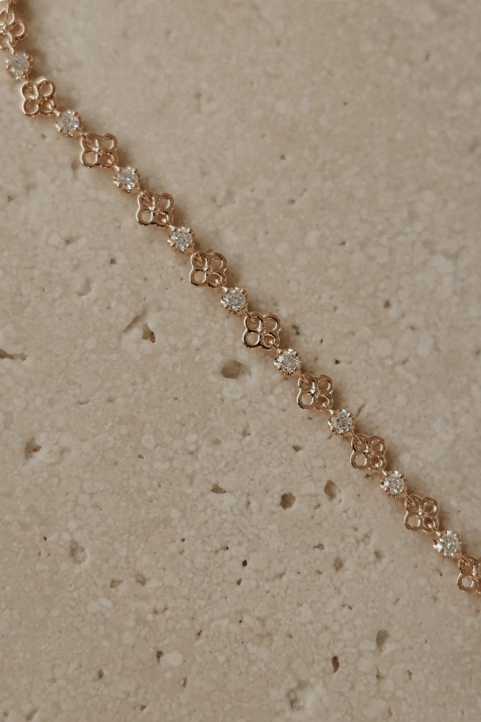 Tezza-1185