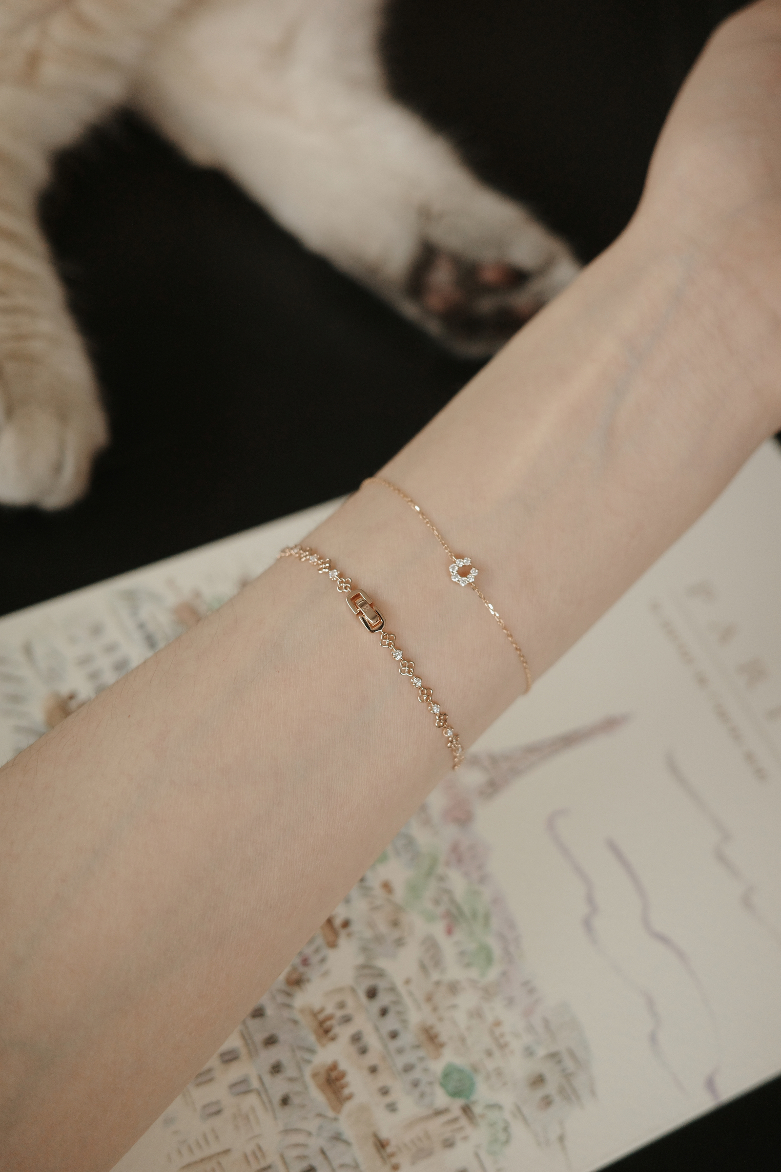 Tezza-2801
