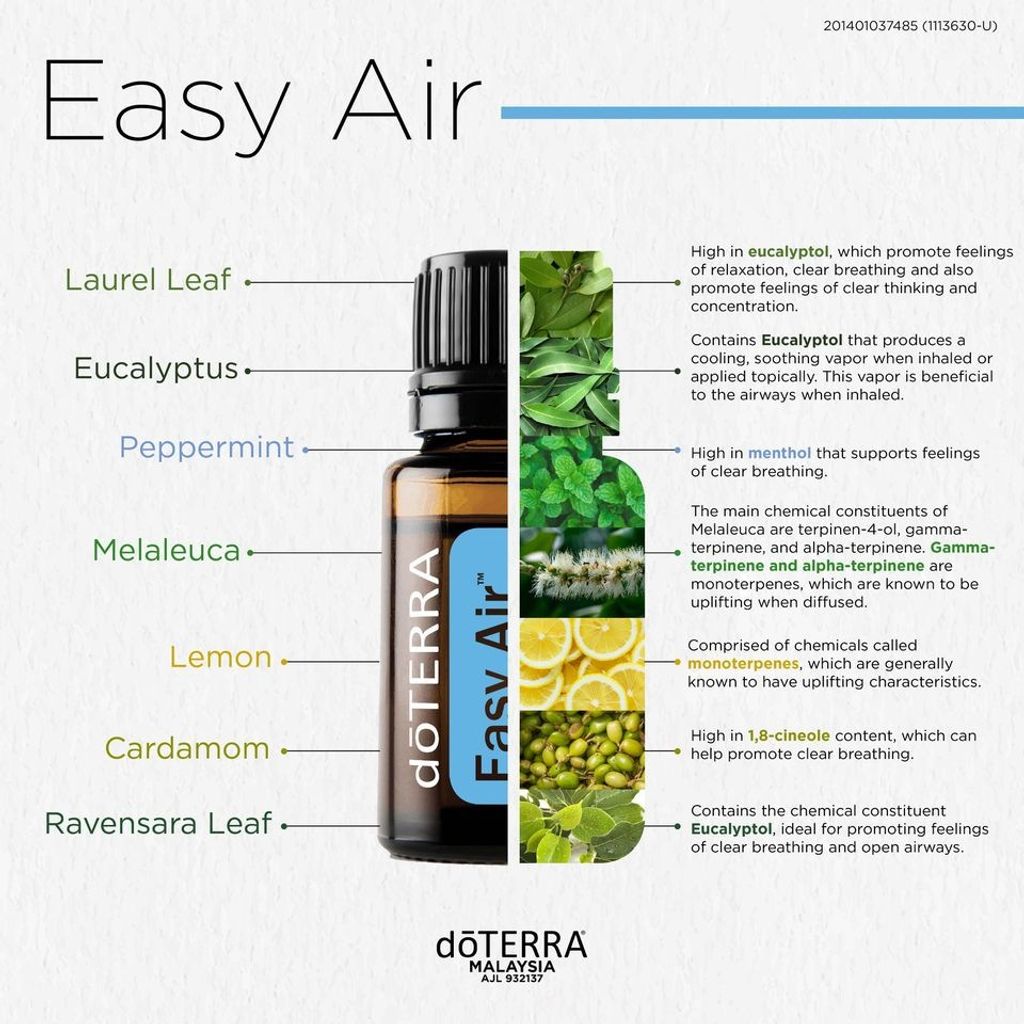 Easy Air/Breathe Essential Oil Blend 呼吸顺畅精油– MyAromaEssentialOils