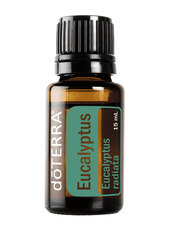 eucalytus