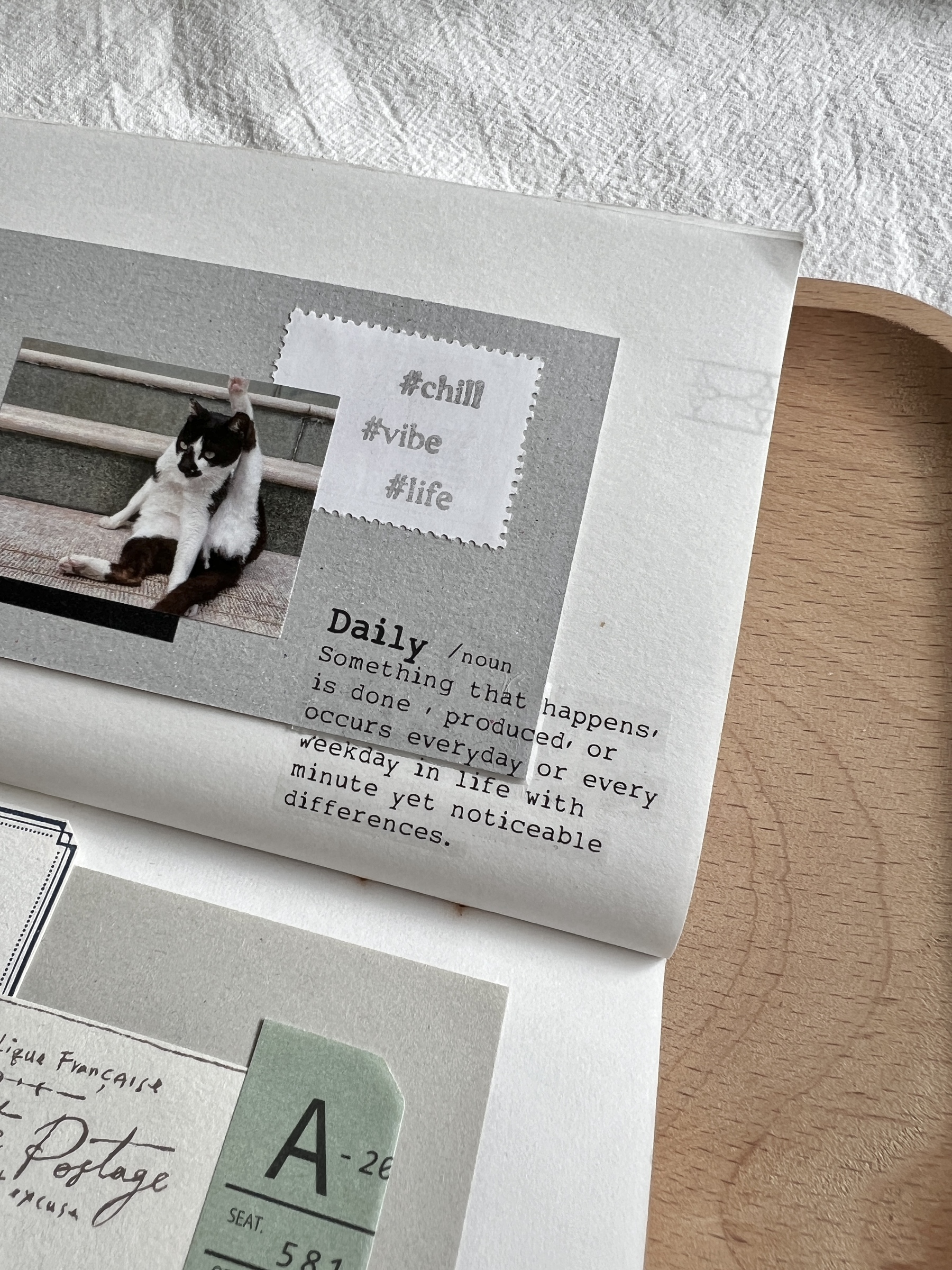 image_C37E6359-1164-42CD-A805-0882CF843374_1775560691