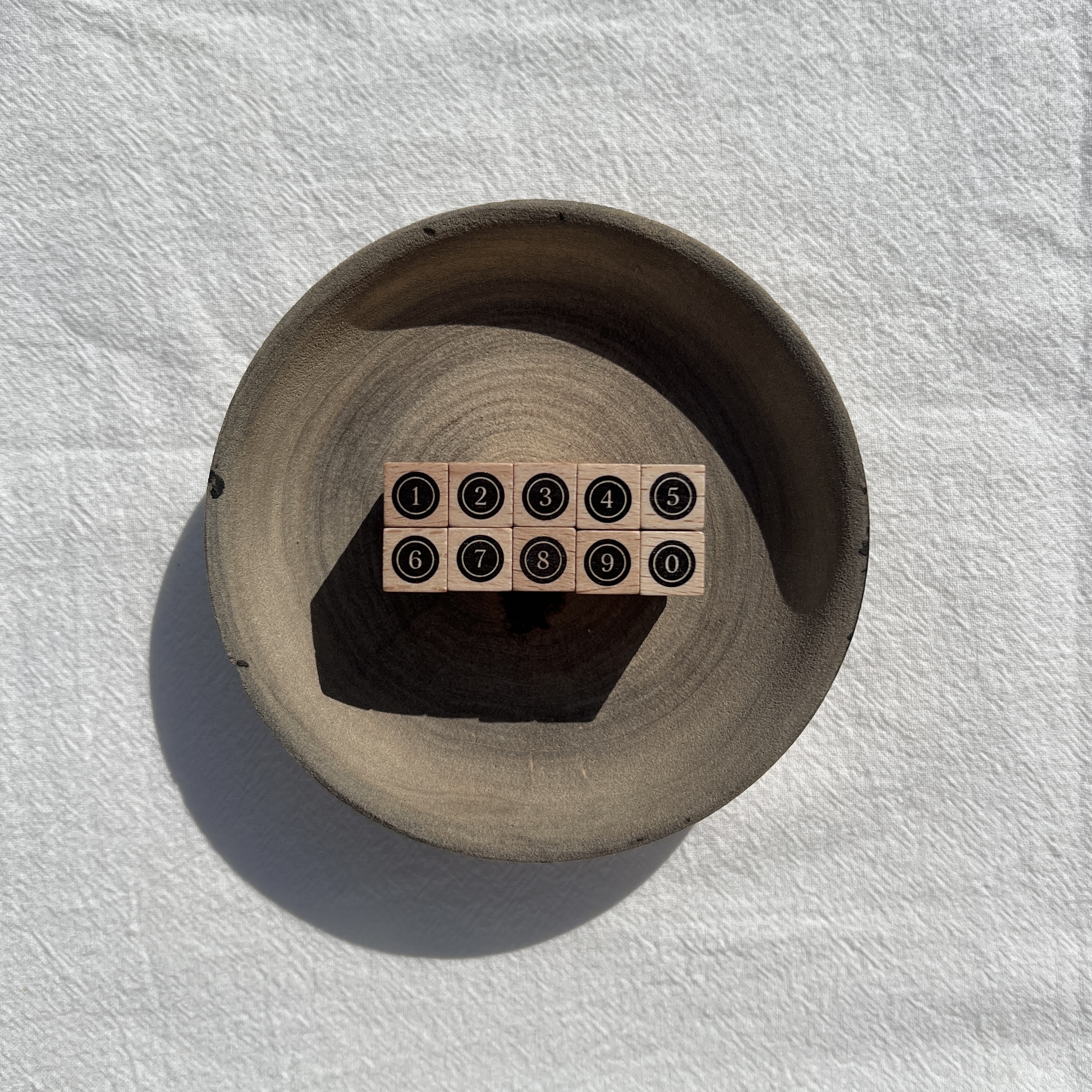 image_85EAF024-9B96-406C-AD46-9D0CAC0D4FDF_1765301274