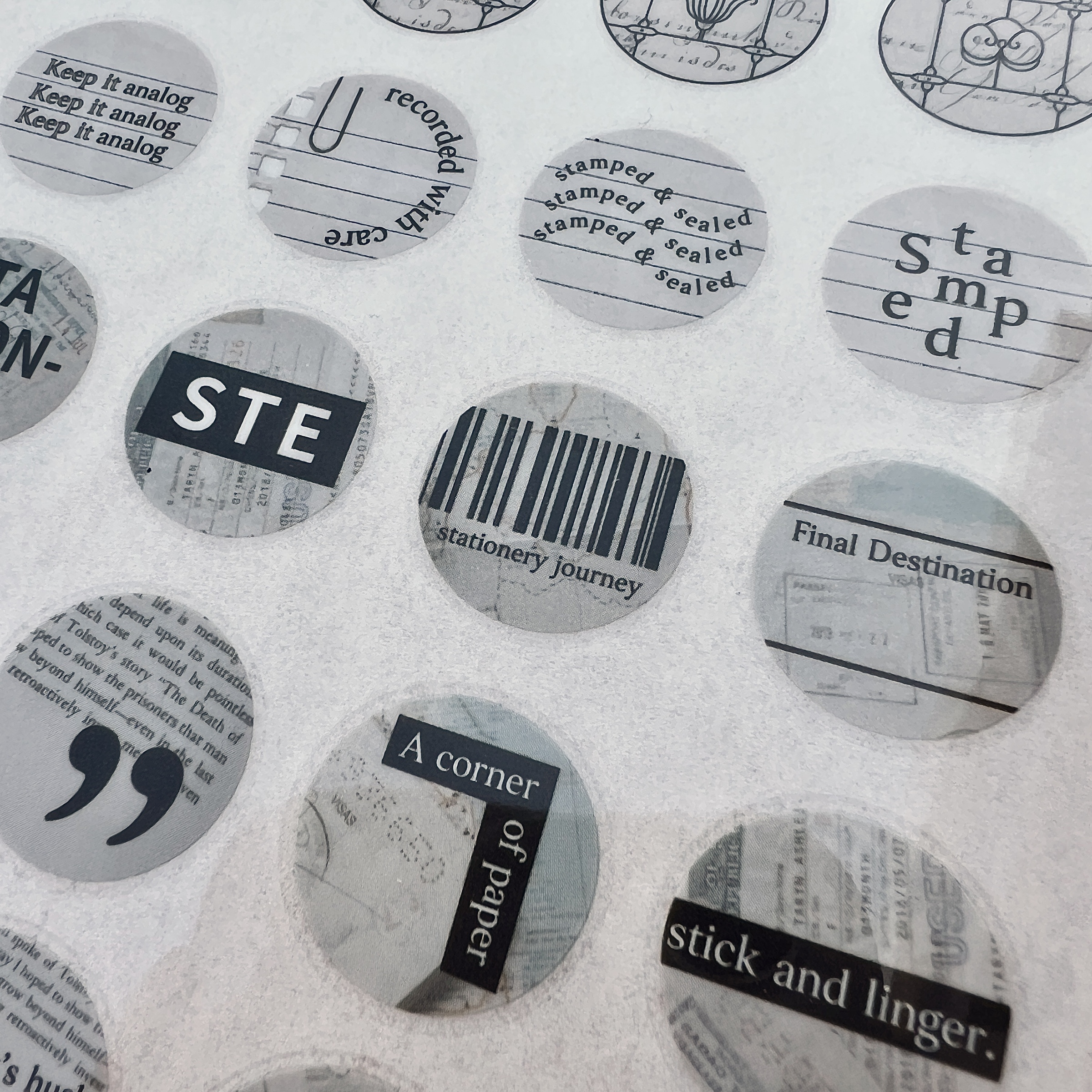 image_54666B8A-8683-445F-9A91-FC4AA76280F4_1769247220