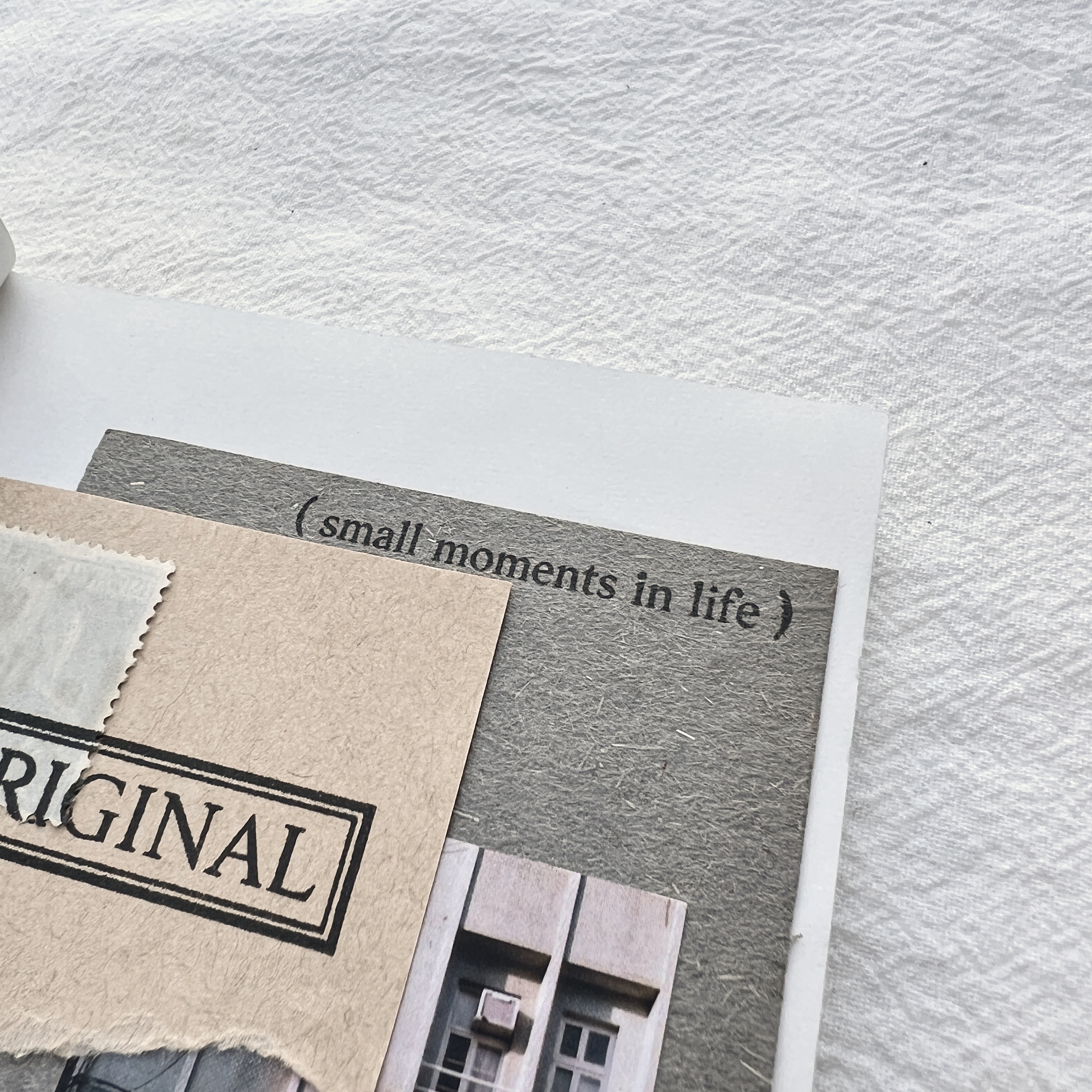 image_A0B0EDB7-D4BF-4CC6-BA6E-E3070A67DD14_1769248101