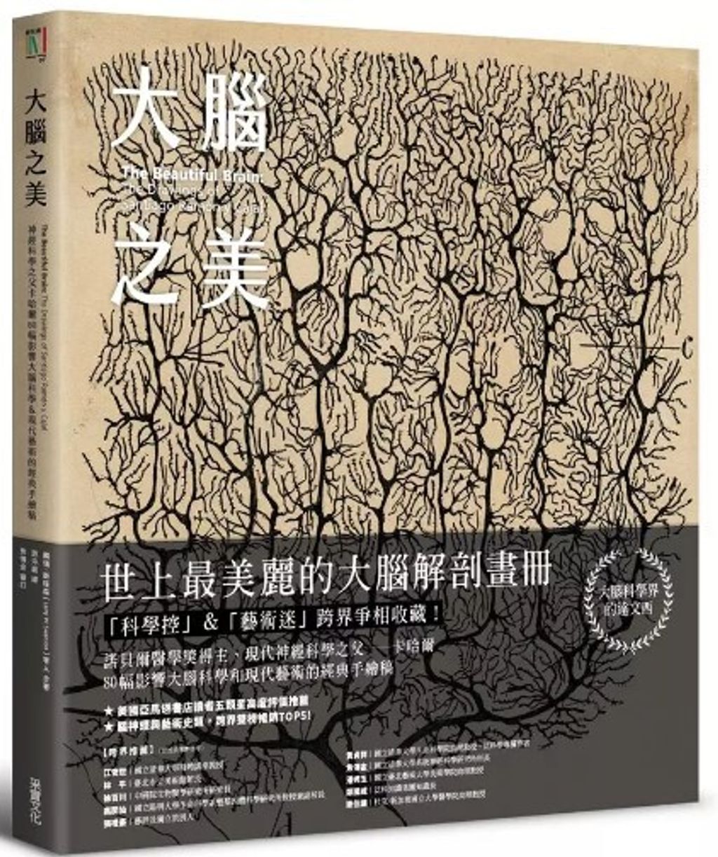 螢幕擷取畫面 2024-05-22 095227