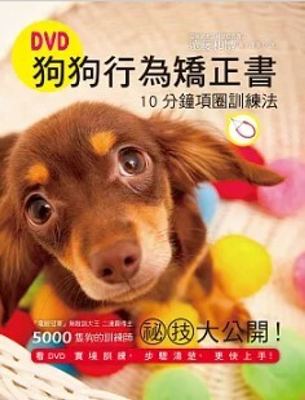 螢幕擷取畫面 2024-06-07 151559