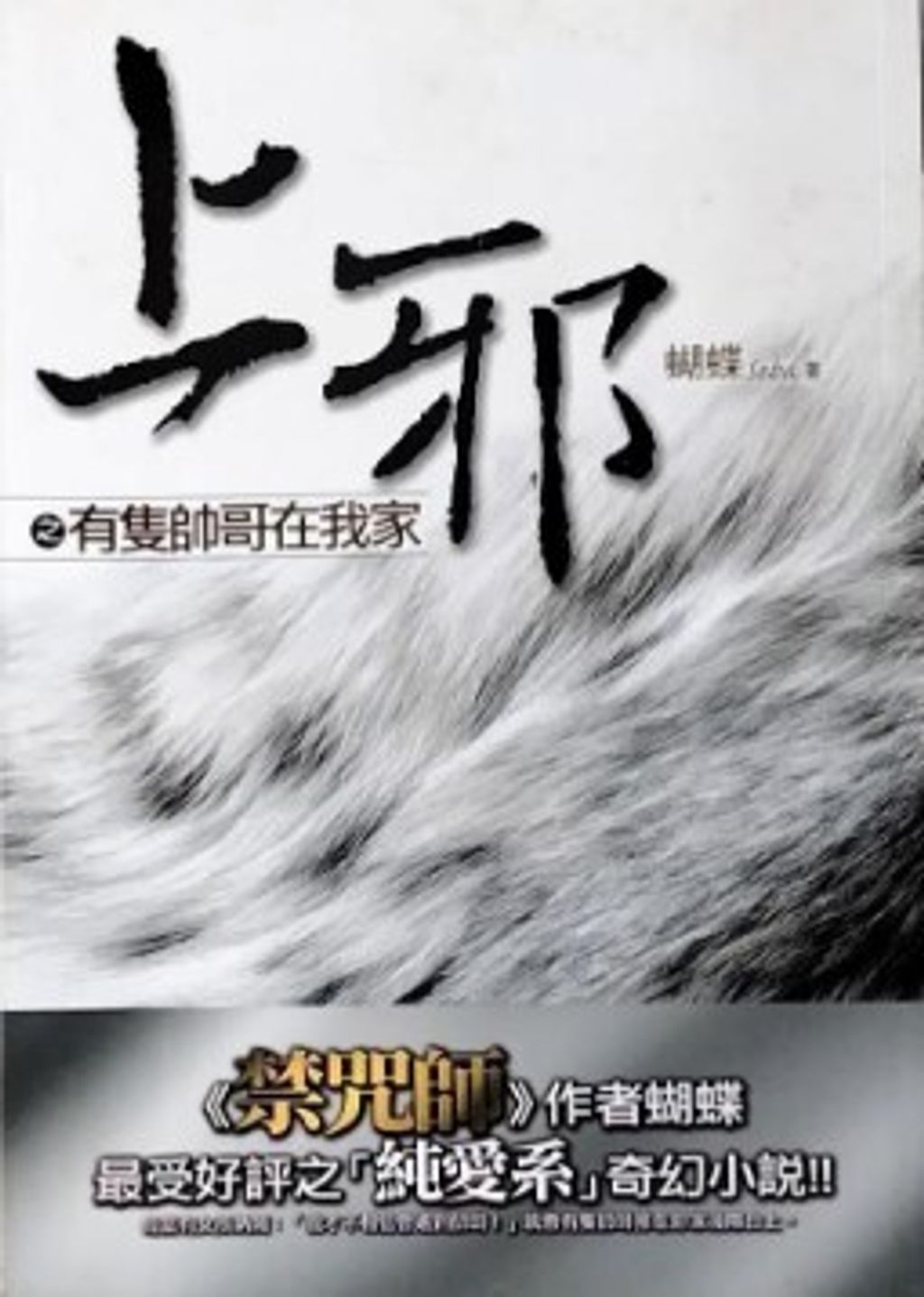 螢幕擷取畫面 2024-06-13 144238