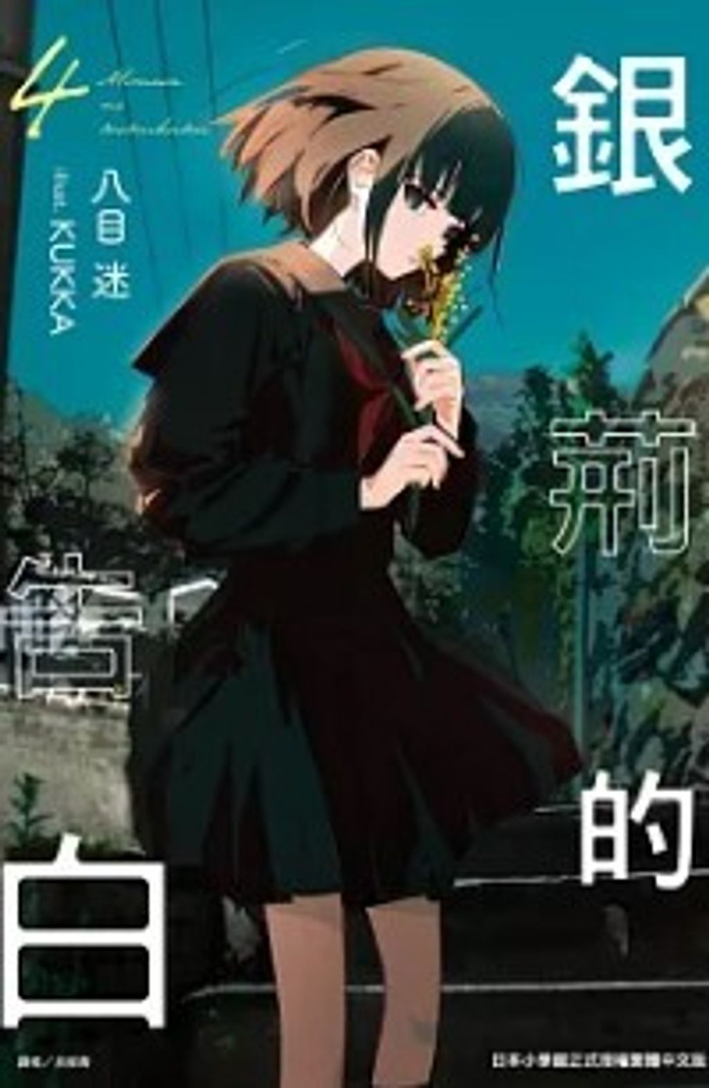 螢幕擷取畫面 2024-09-03 165310