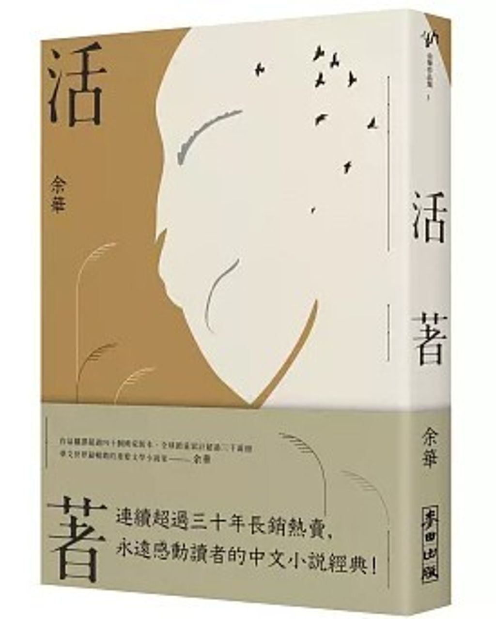 螢幕擷取畫面 2025-07-24 082913