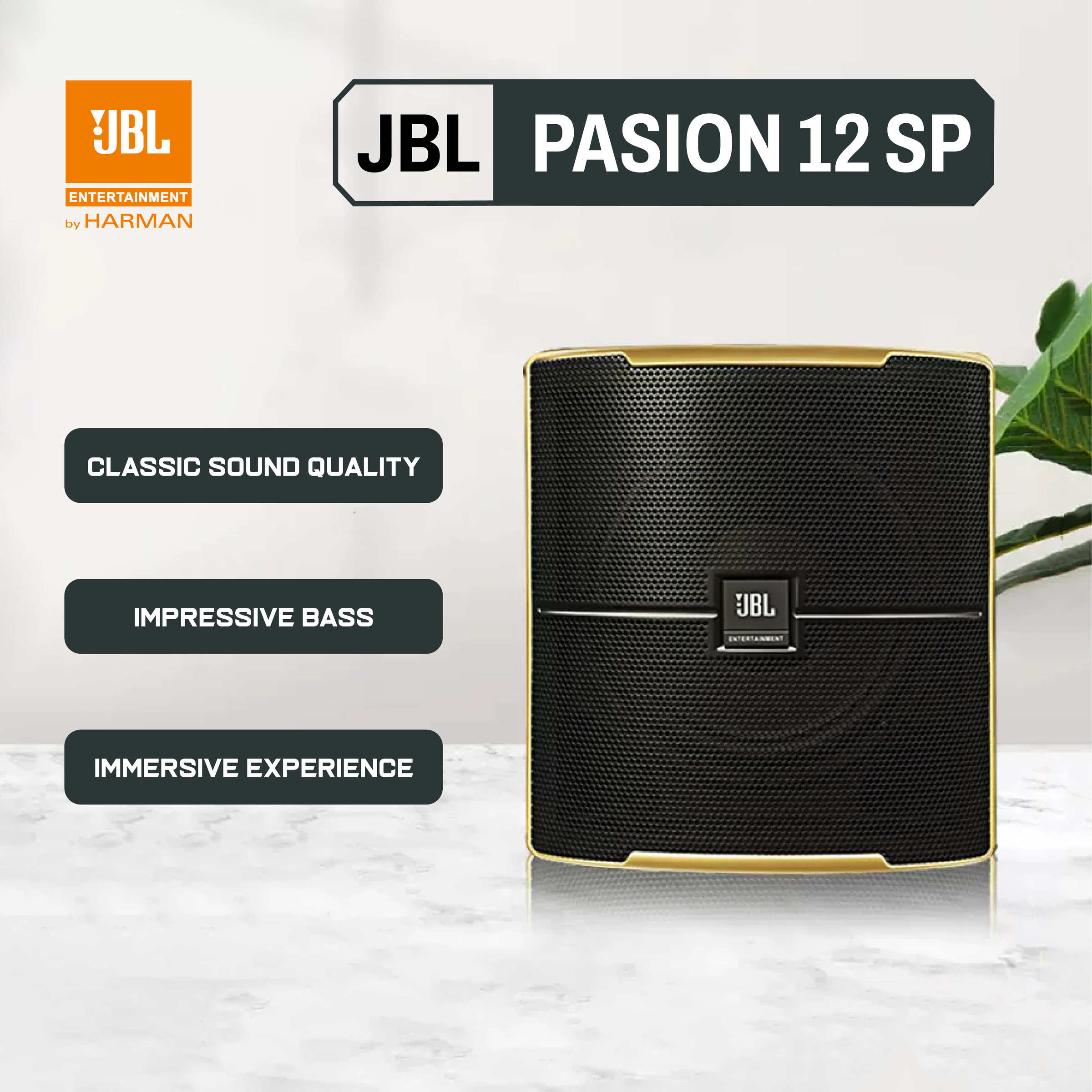 JBL Pasion 12SP Powered 12” Karaoke Subwoofer