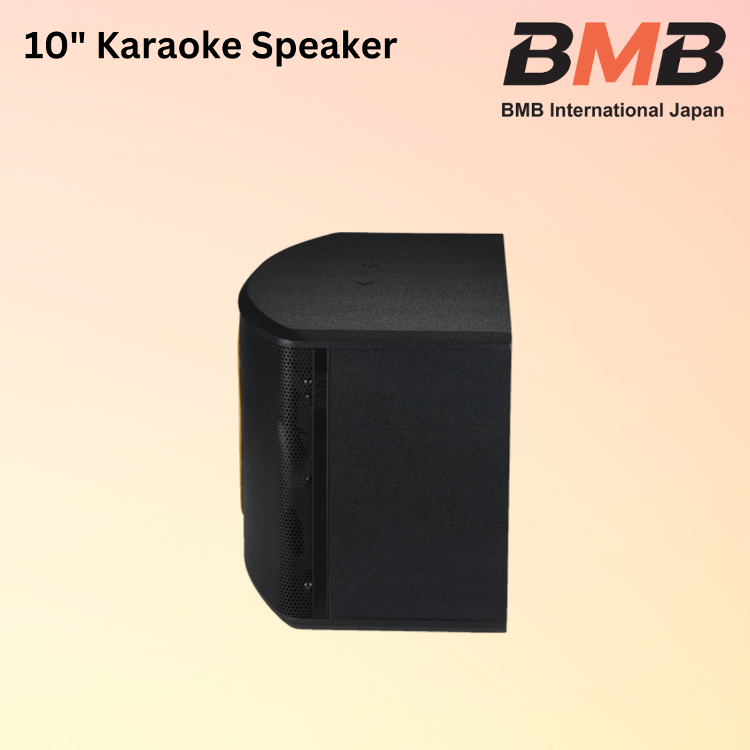 CSJ-10 10-INCH SPEAKER (3)