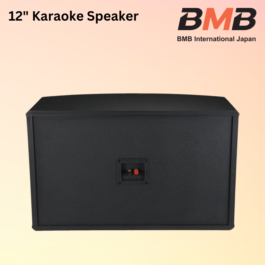 CSJ-12 12-INCH SPEAKER (4)