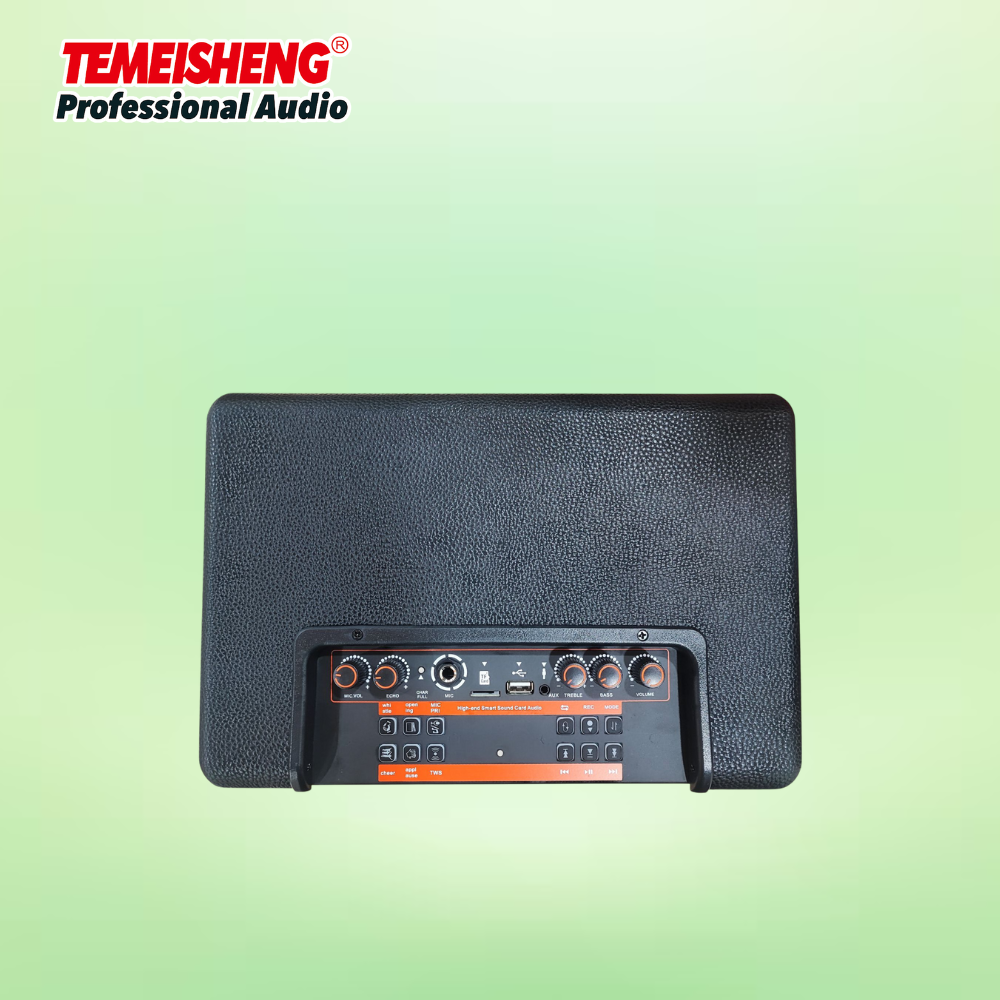 TEMEISHENG LS-T6 (4)