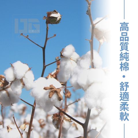 tw-11134207-7qul7-lg0fxyye026983