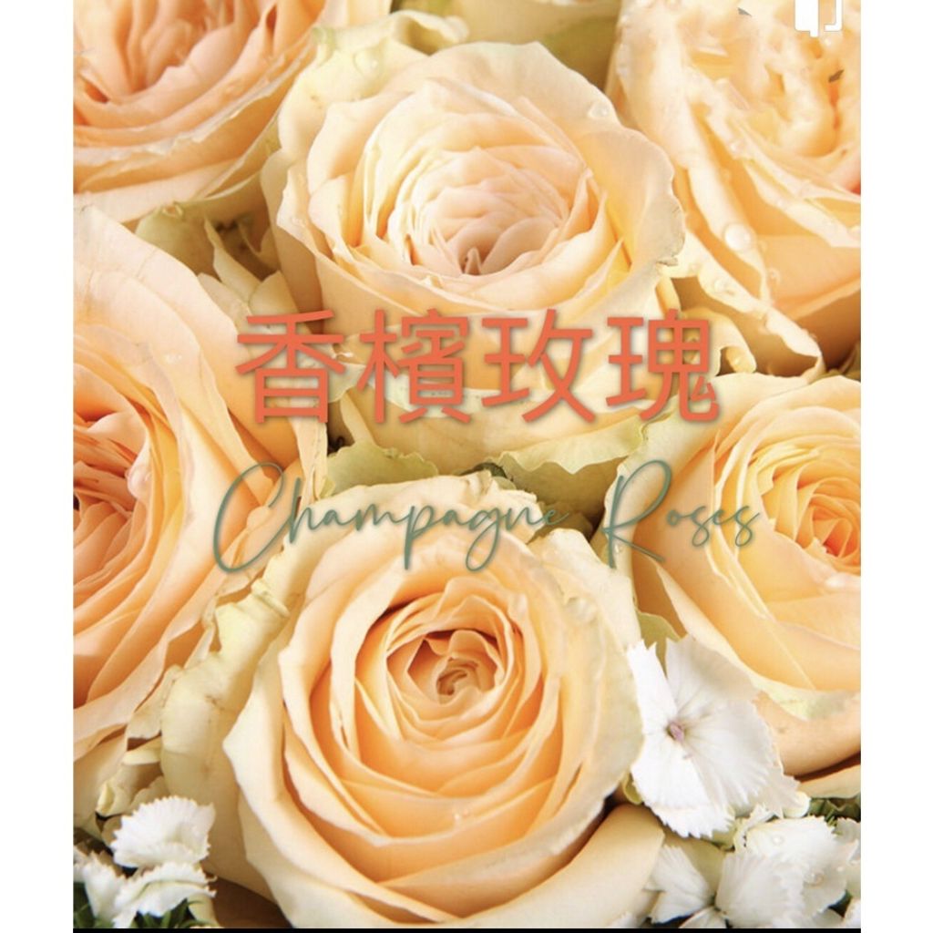 sg-11134201-22090-qq01i9yw4shv19