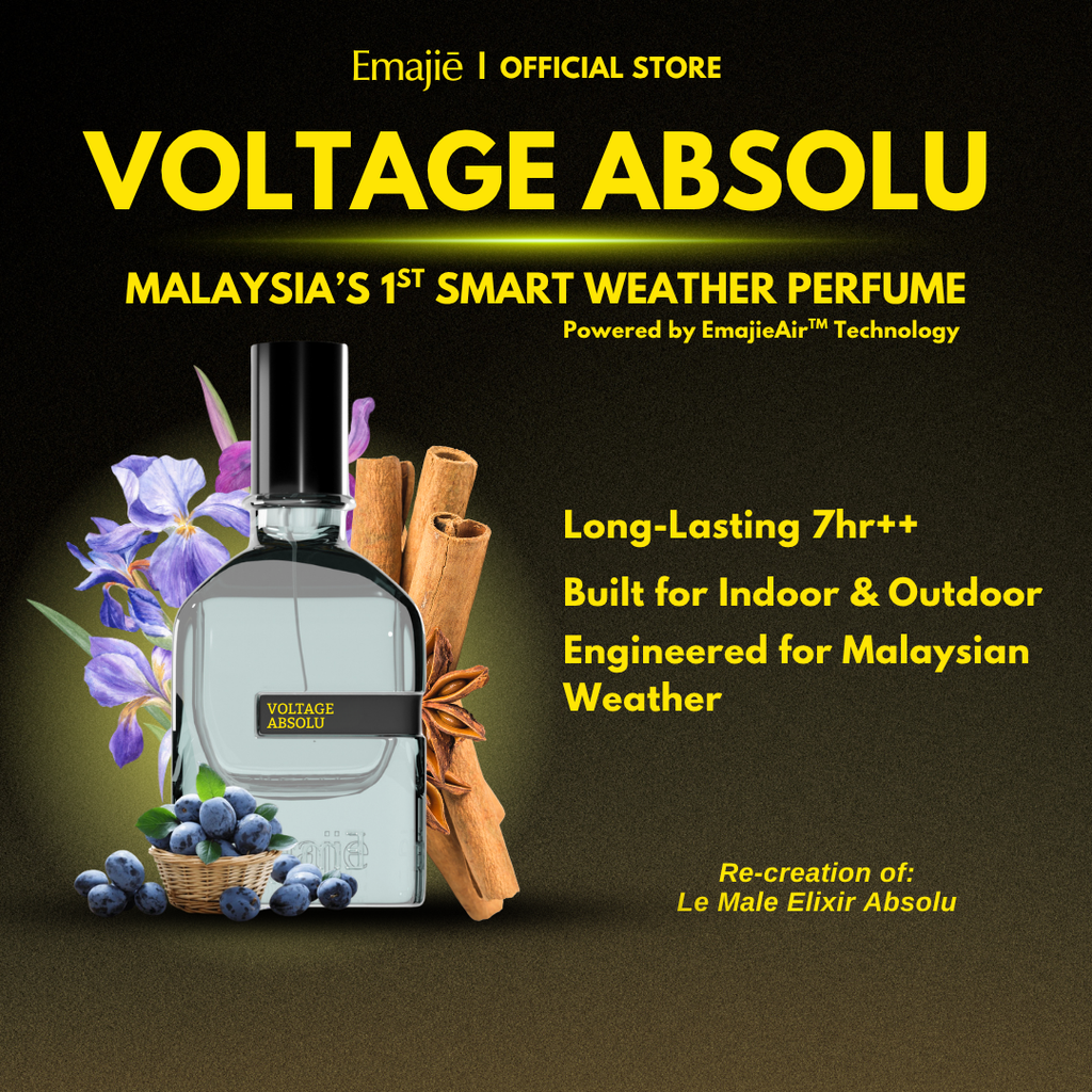 VOLTAGE ABSOLU