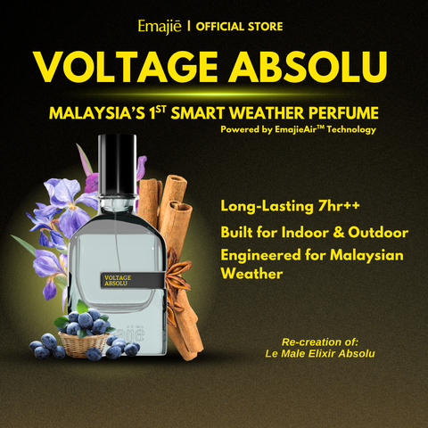 VOLTAGE ABSOLU