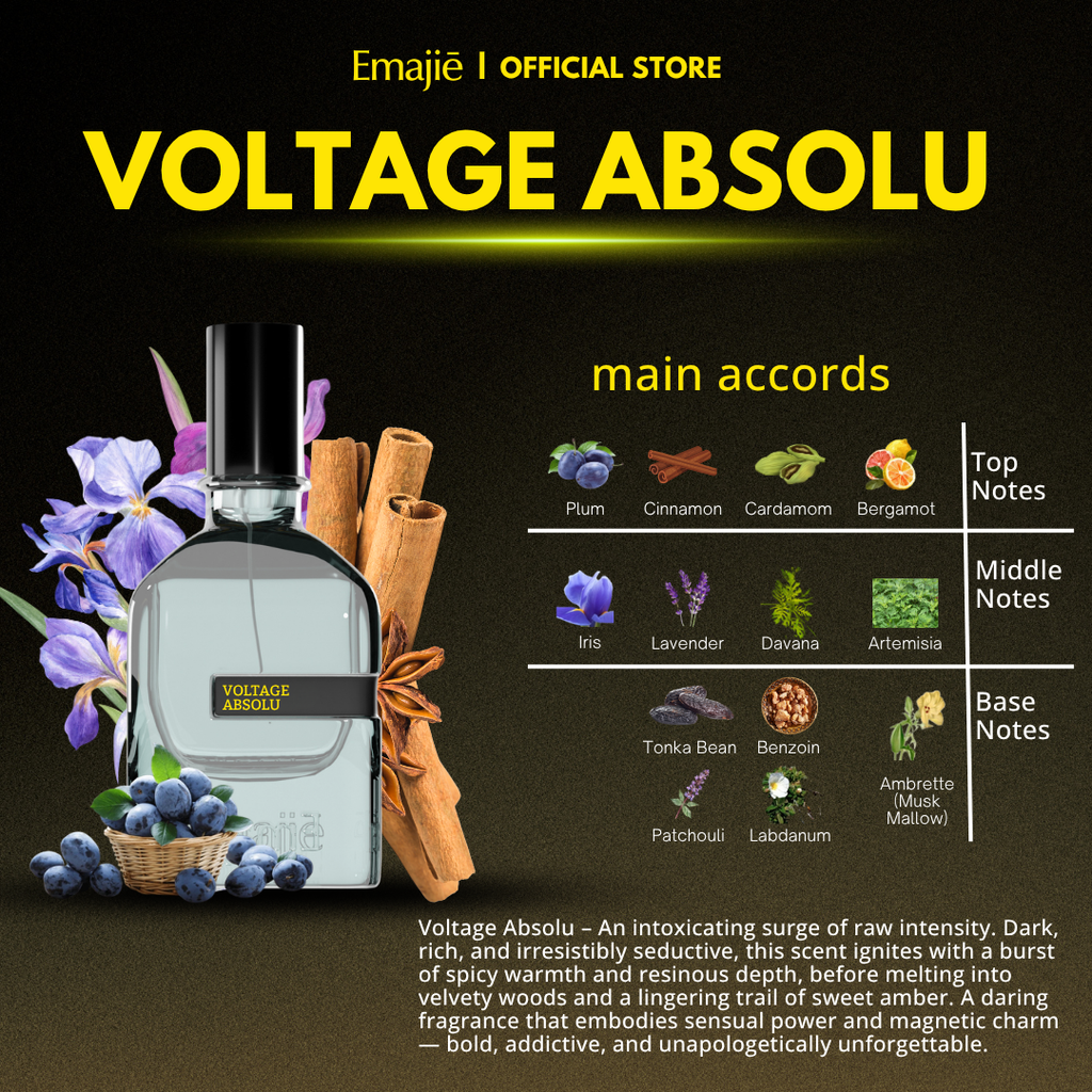 VOLTAGE ABSOLU