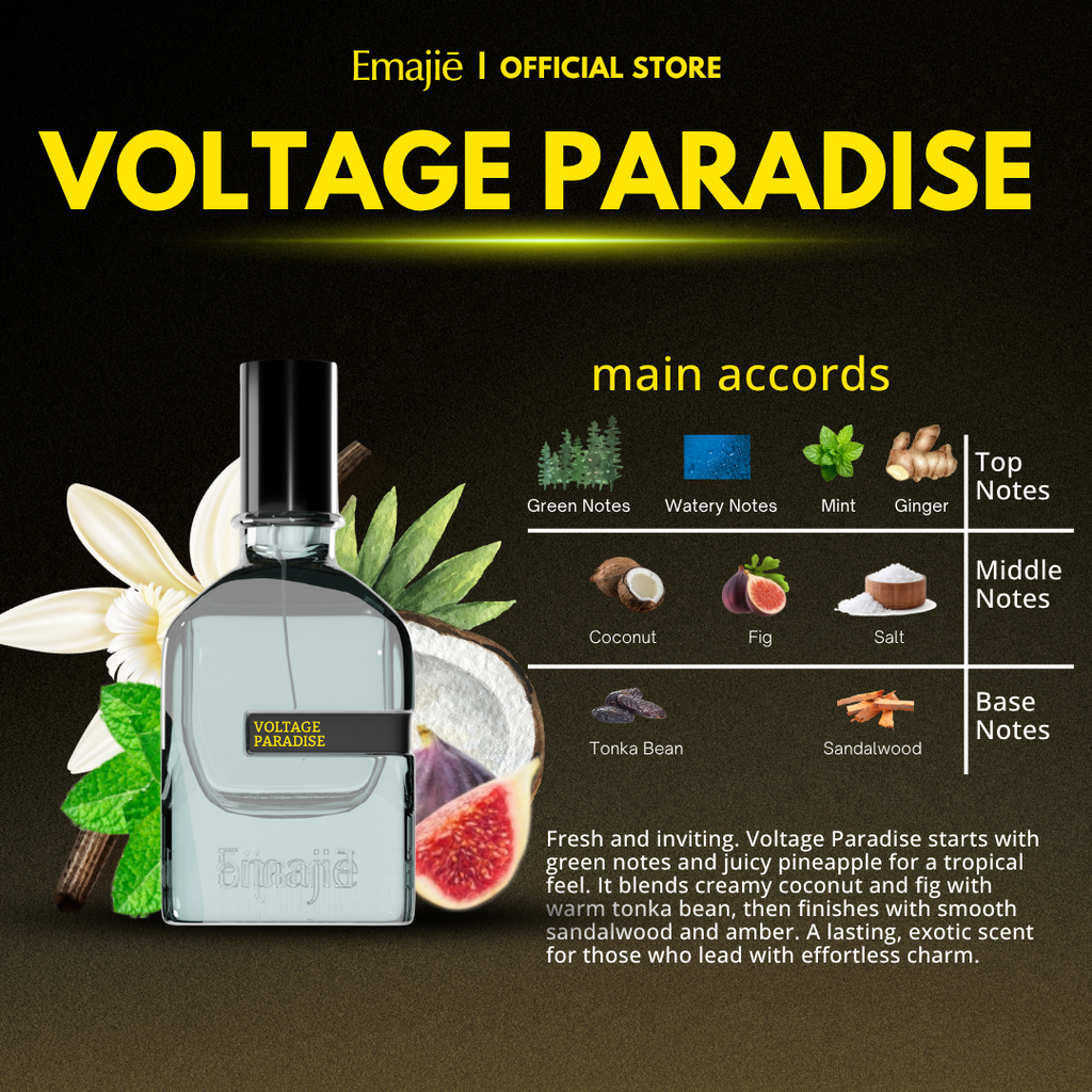 VOLTAGE PARADISE