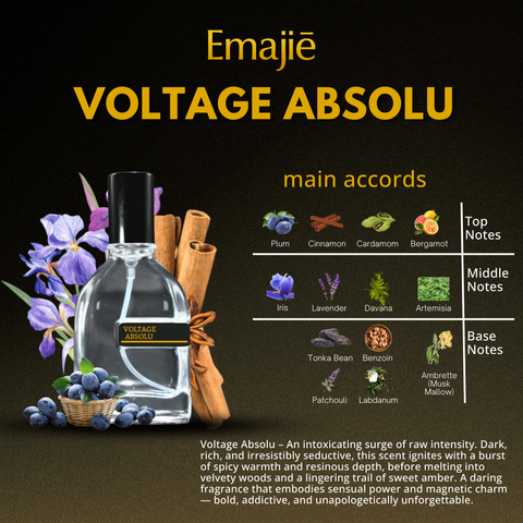 VOLTAGE ABSOLU
