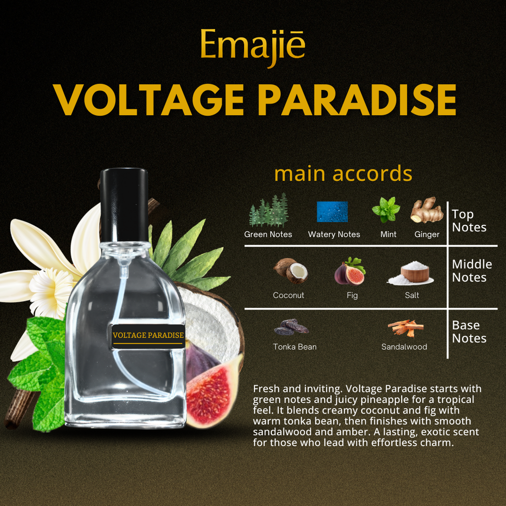 VOLTAGE PARADISE