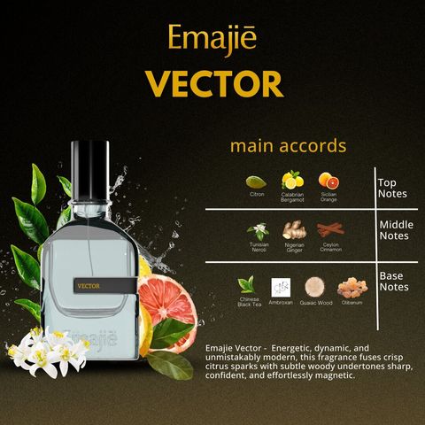 VECTOR