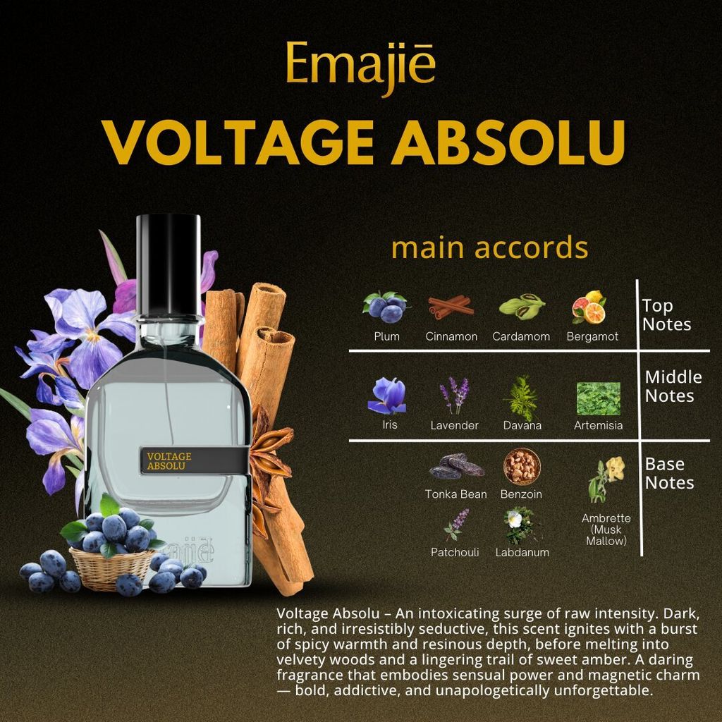 VOLTAGE ABSOLU