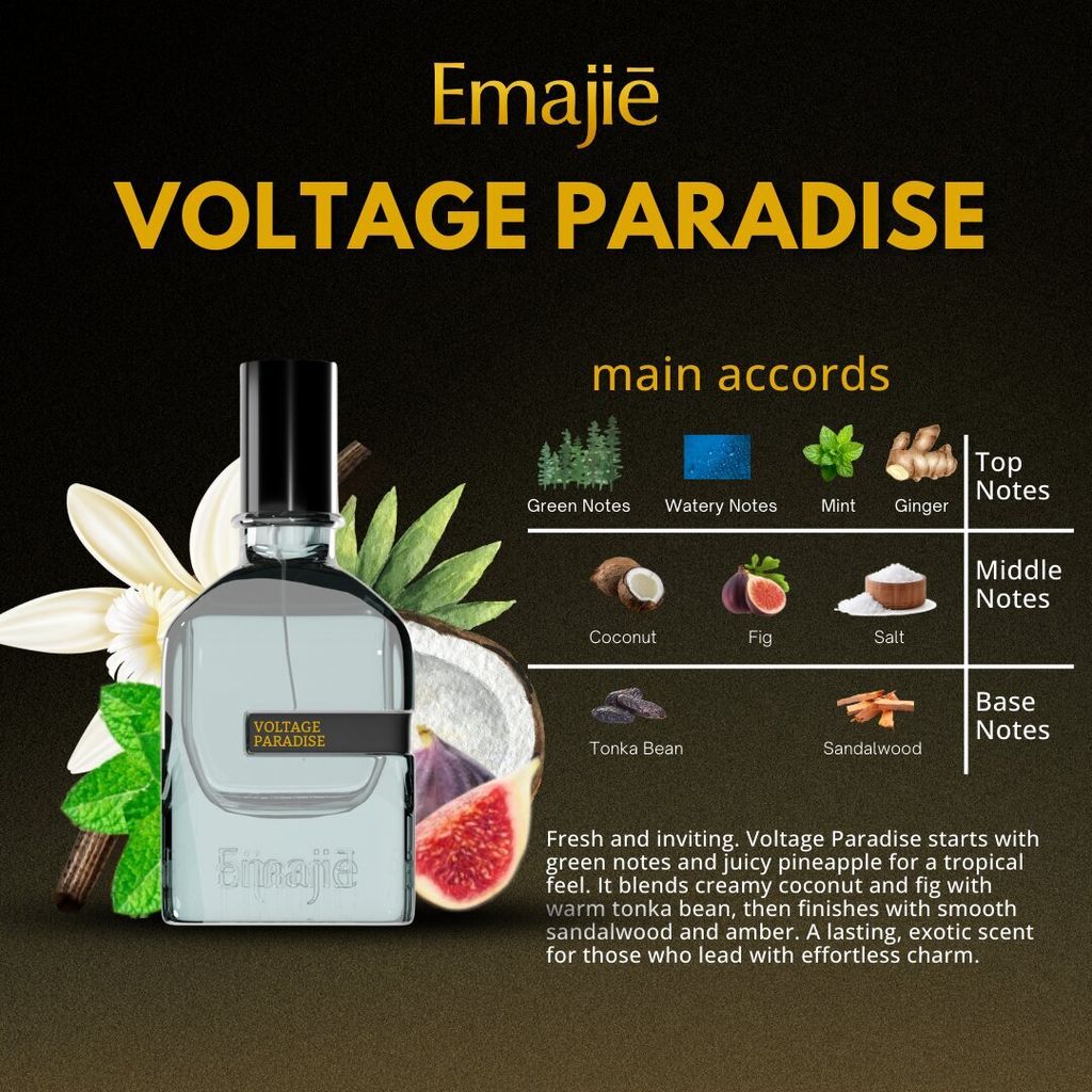 VOLTAGE PARADISE