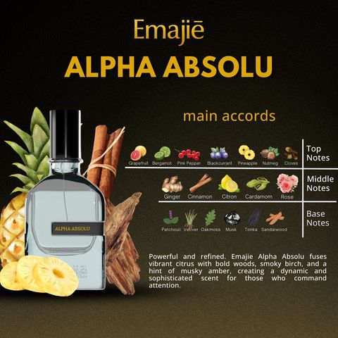 ALPHA ABSOLU