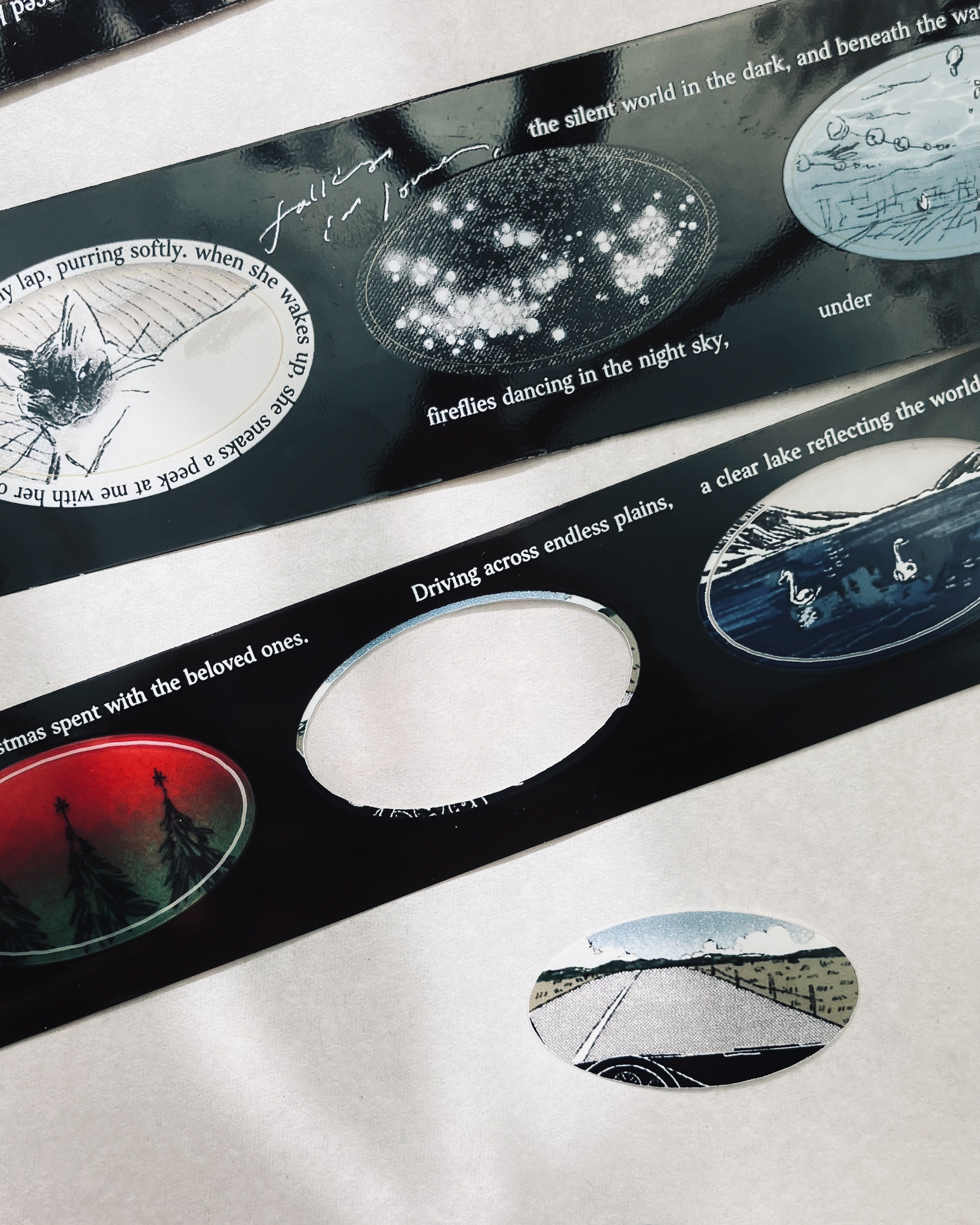 𝐌𝐲 𝐅𝐚𝐯𝐨𝐫𝐢𝐭𝐞 𝐓𝐡𝐢𝐧𝐠𝐬 8