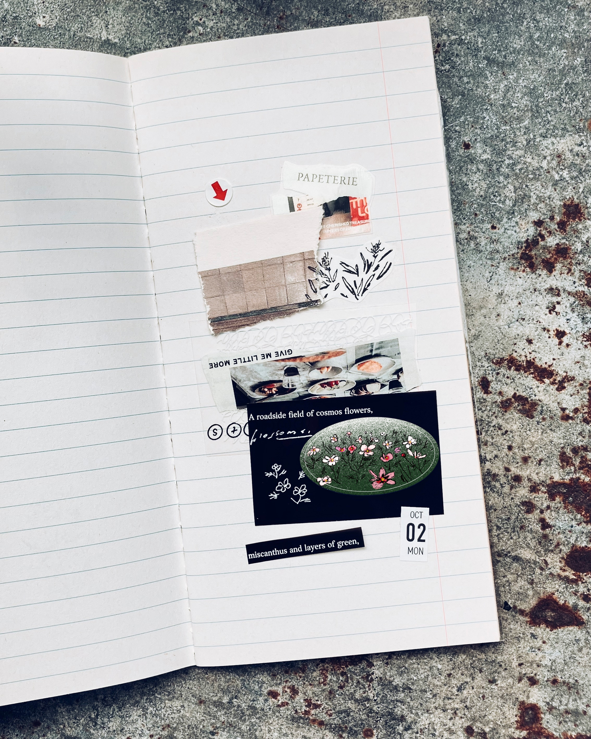 𝐌𝐲 𝐅𝐚𝐯𝐨𝐫𝐢𝐭𝐞 𝐓𝐡𝐢𝐧𝐠𝐬 10