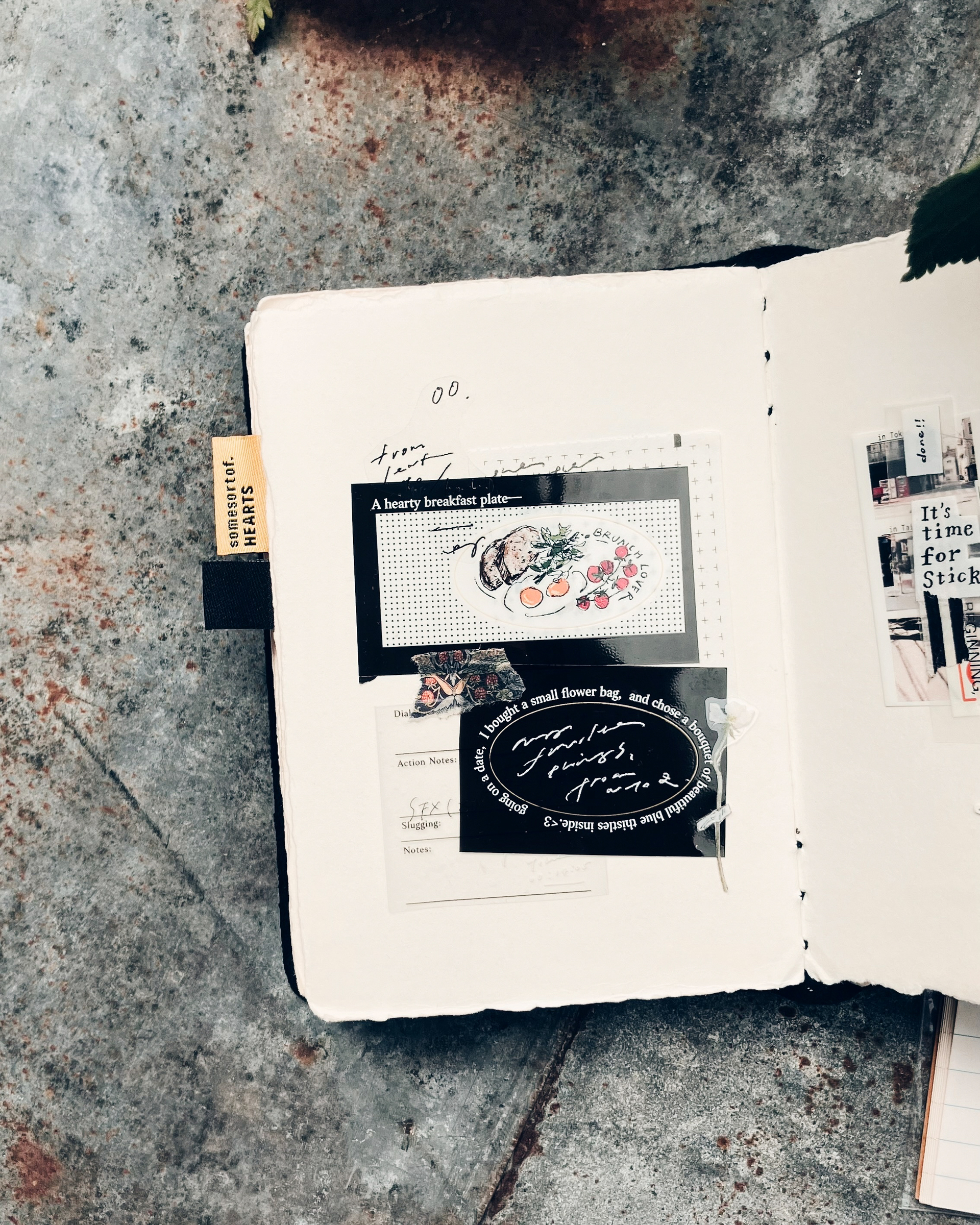 𝐌𝐲 𝐅𝐚𝐯𝐨𝐫𝐢𝐭𝐞 𝐓𝐡𝐢𝐧𝐠𝐬 4