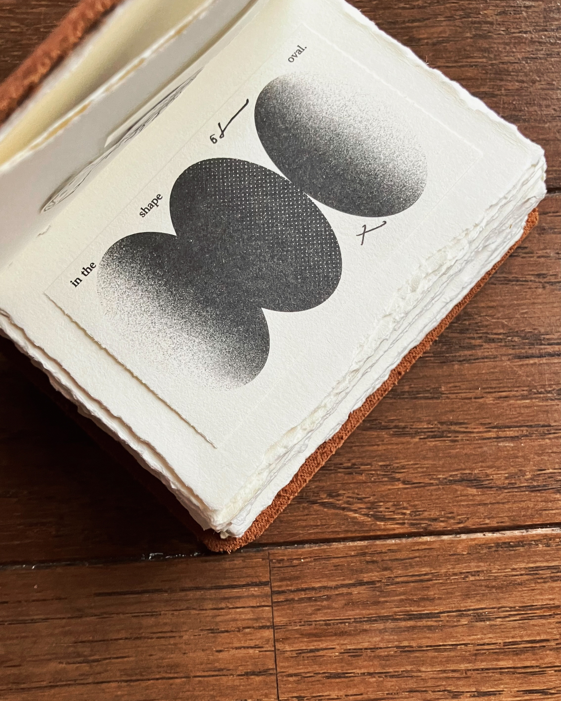 𝐭𝐡𝐞 𝐬𝐡𝐚𝐩𝐞 𝐨𝐟 𝐨𝐯𝐚𝐥 { 橢圓 } 4