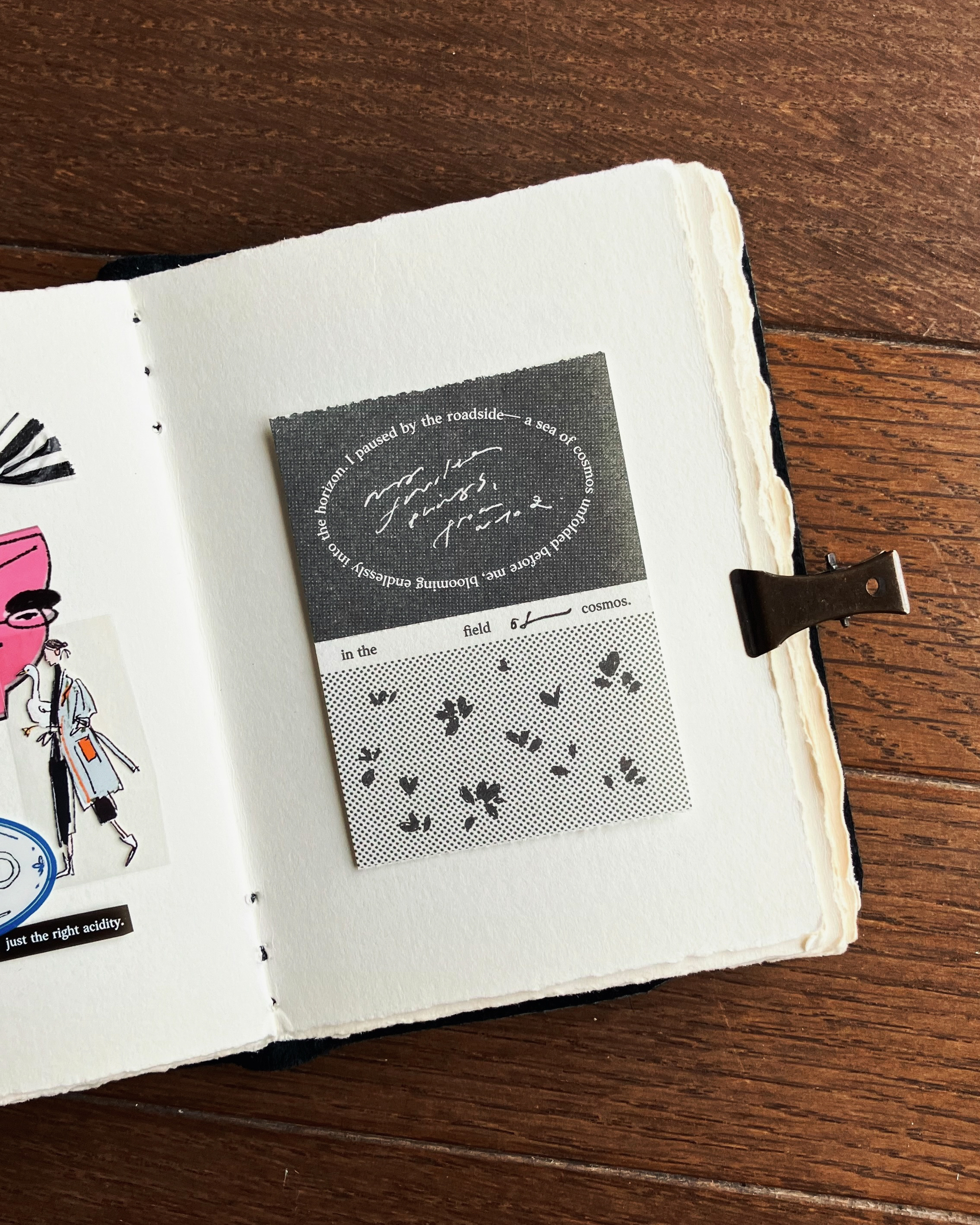 𝐜𝐨𝐬𝐦𝐨𝐬 𝐟𝐢𝐞𝐥𝐝 { 花海 } 6