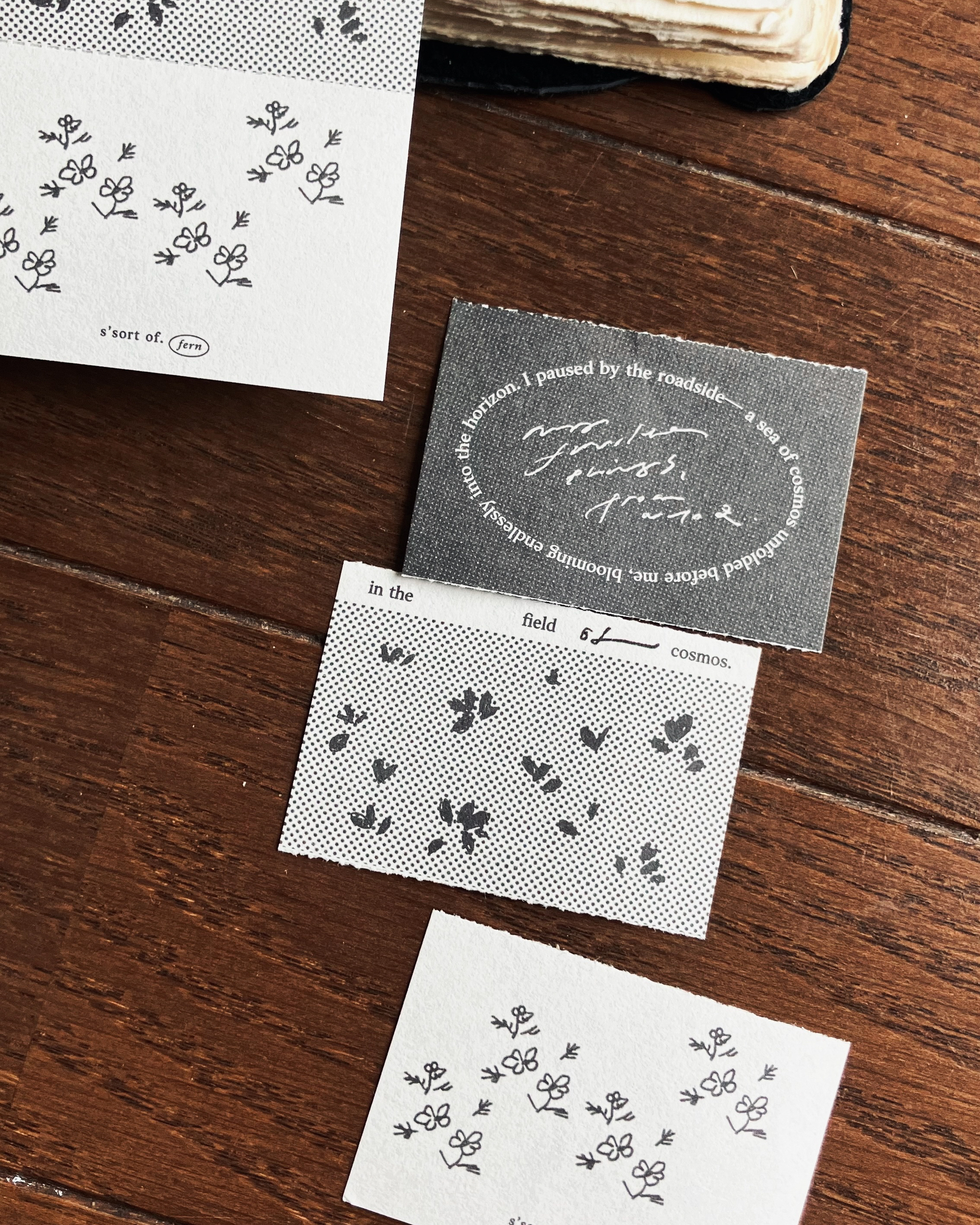 𝐜𝐨𝐬𝐦𝐨𝐬 𝐟𝐢𝐞𝐥𝐝 { 花海 } 5