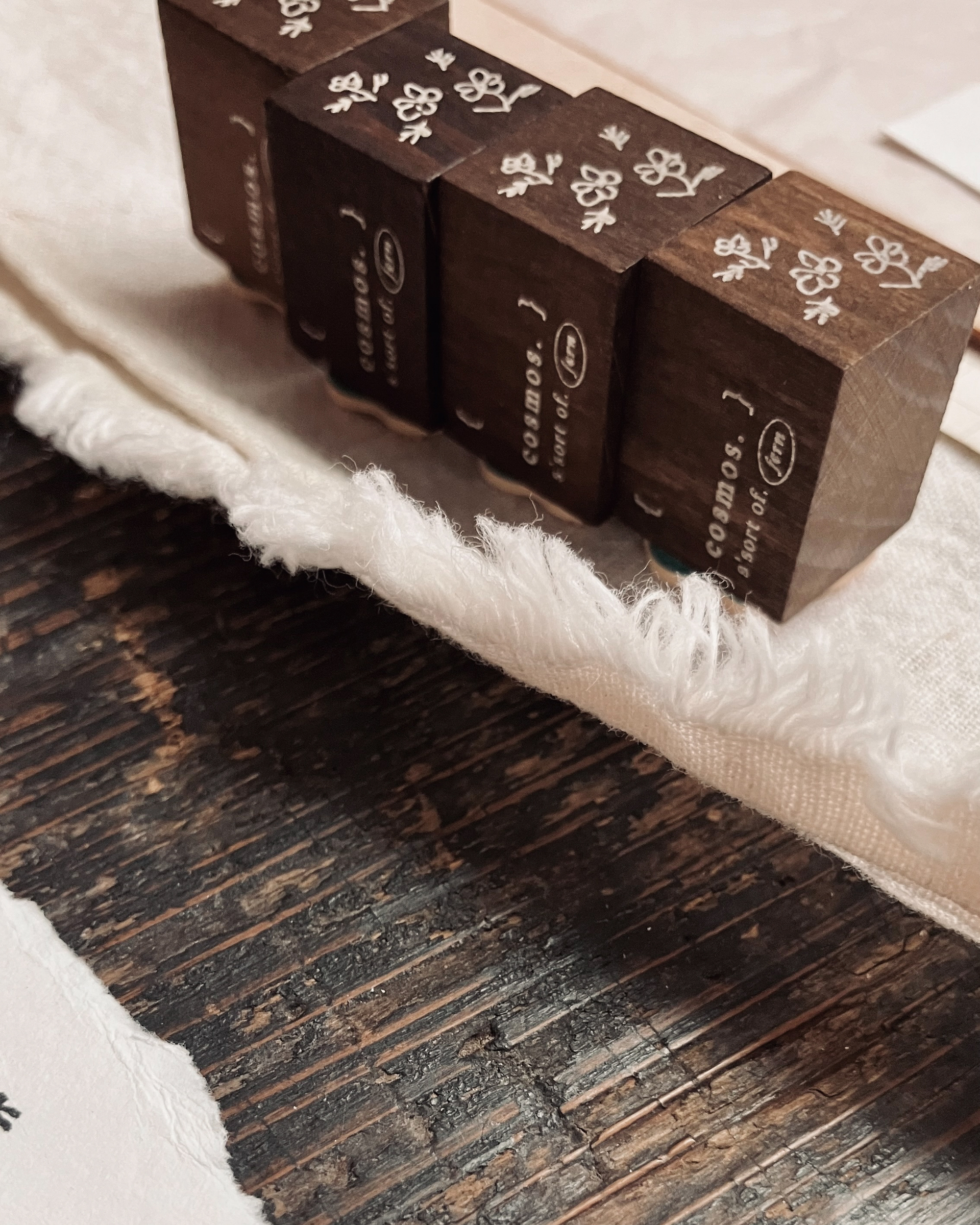 大波斯菊 𝐜𝐨𝐬𝐦𝐨𝐬 6